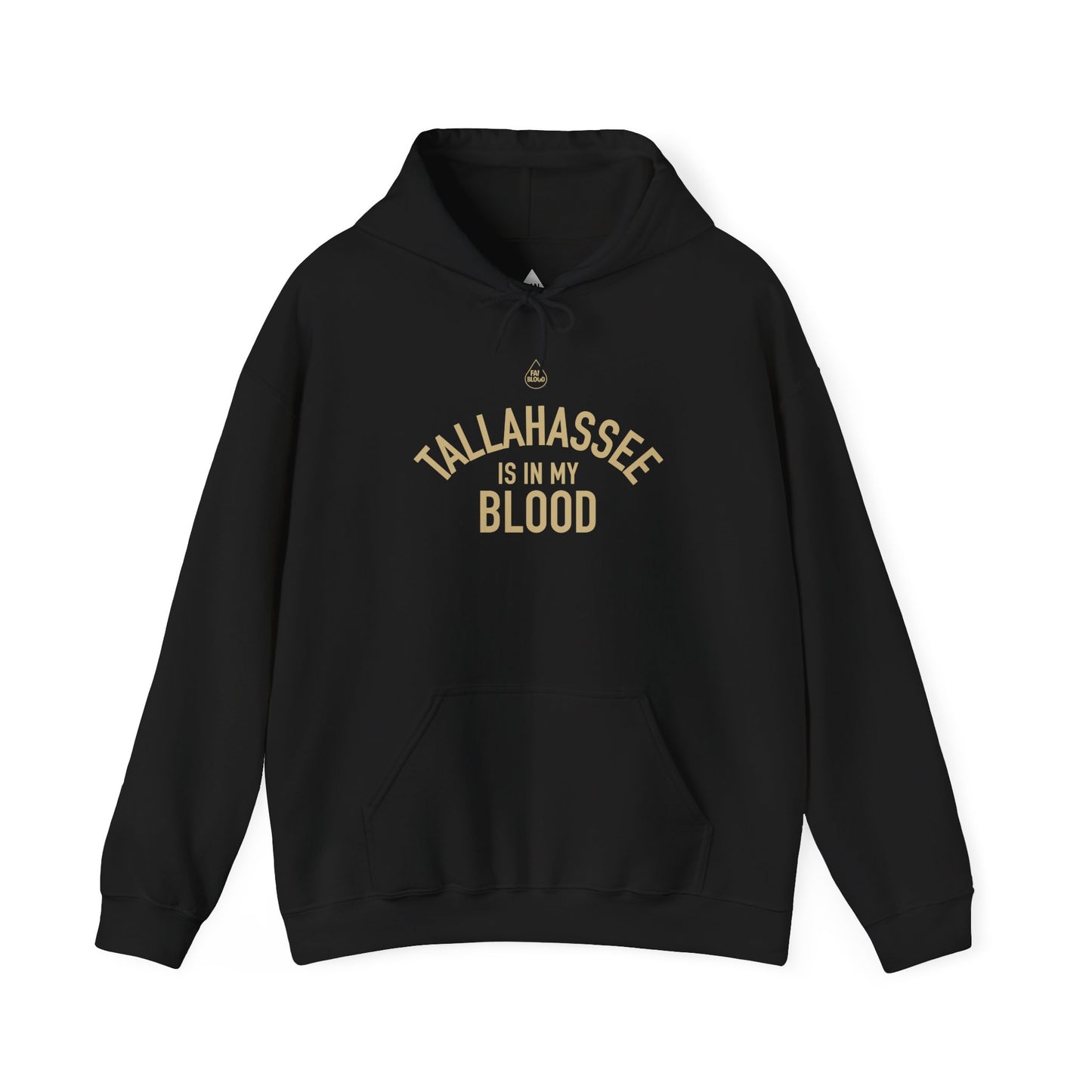 Tallahassee IMB Hoodie