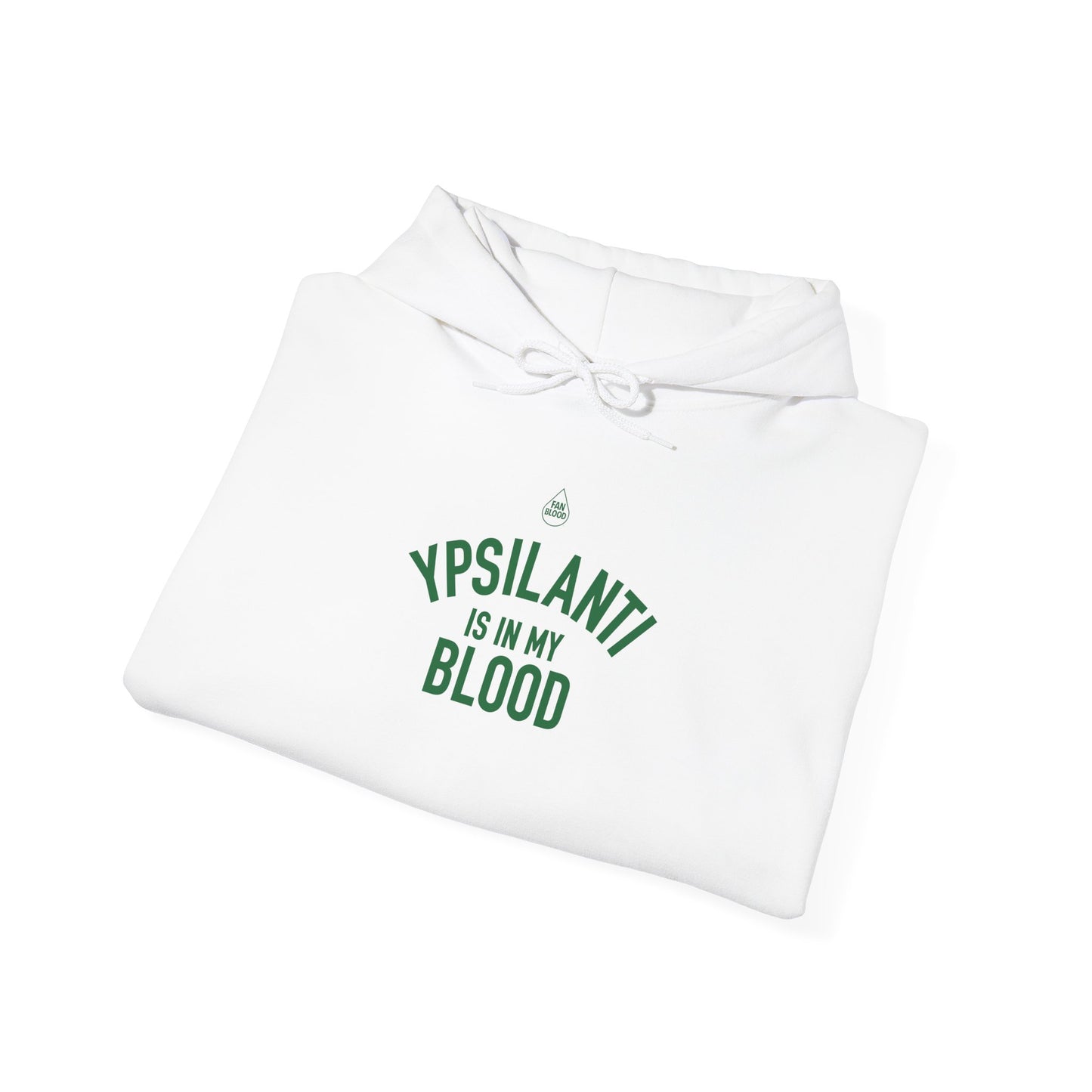 Ypsilanti IMB Hoodie