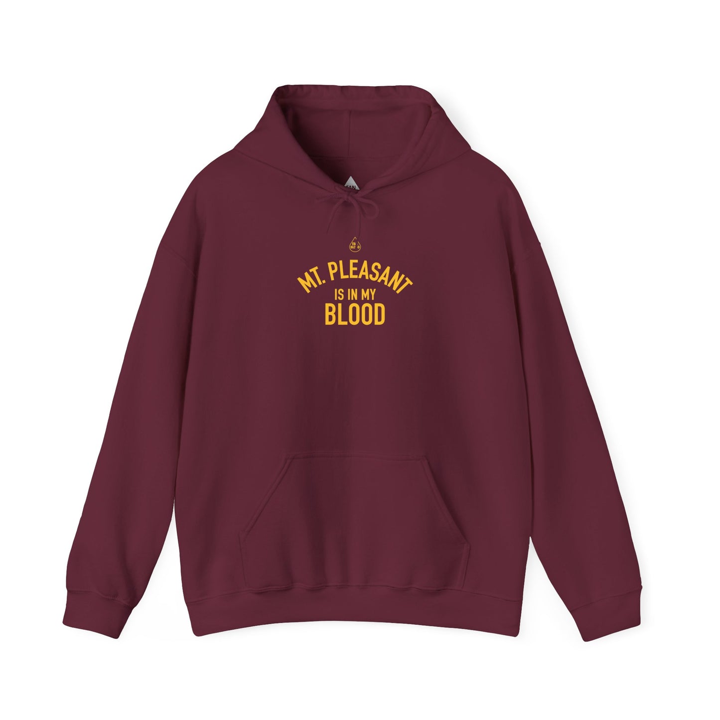 Mt. Pleasant IMB Hoodie