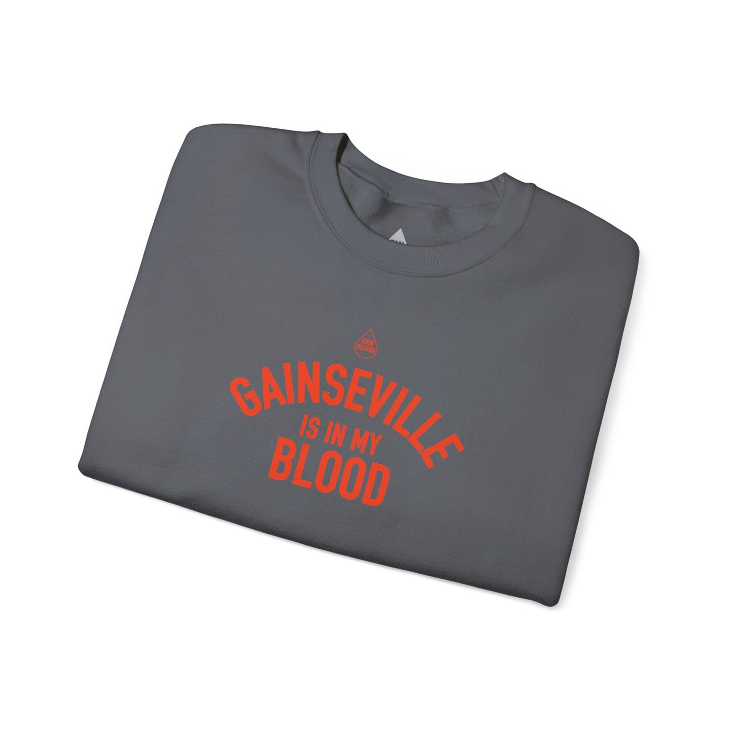 Gainesville IMB Sweatshirt