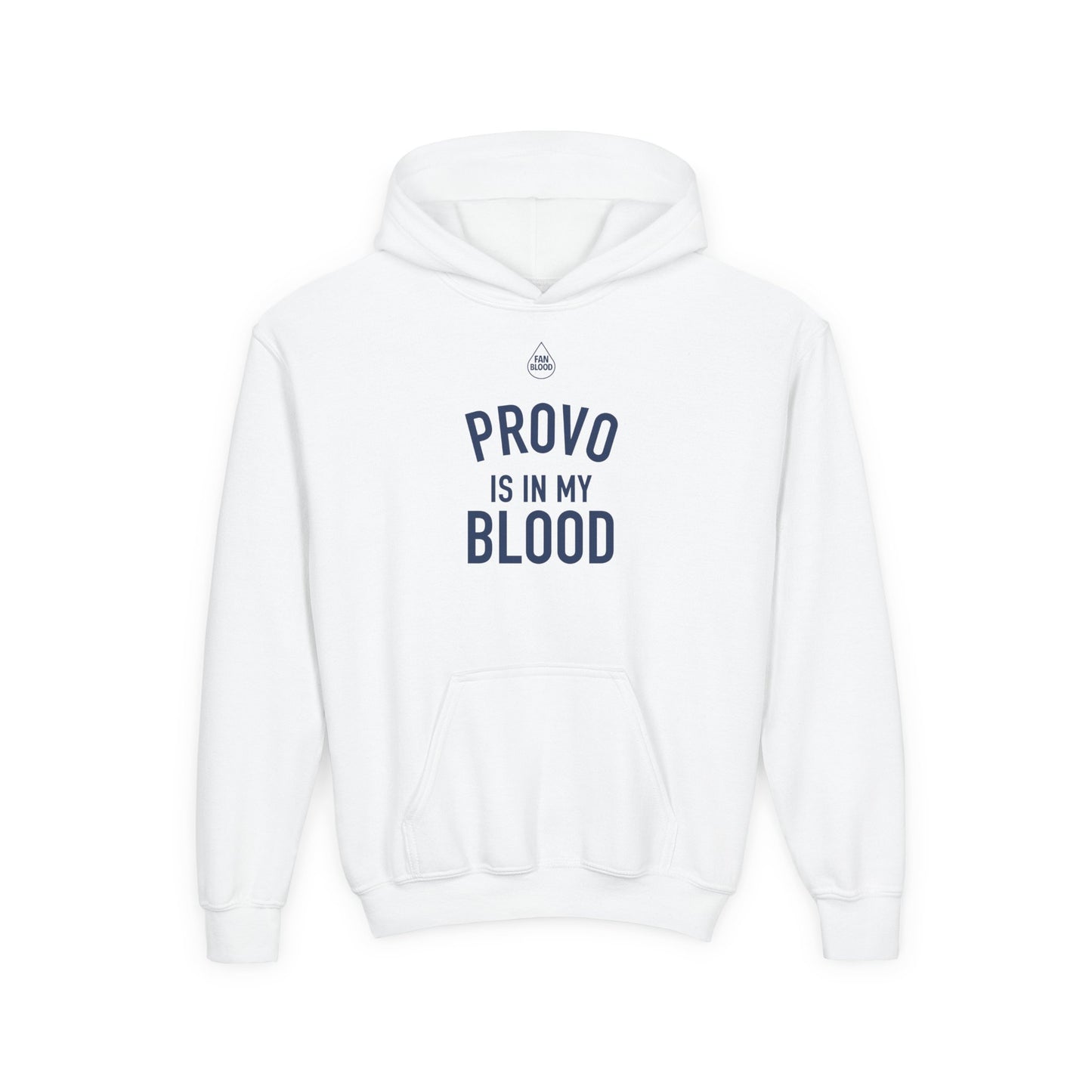 Provo IMB Kid's Hoodie