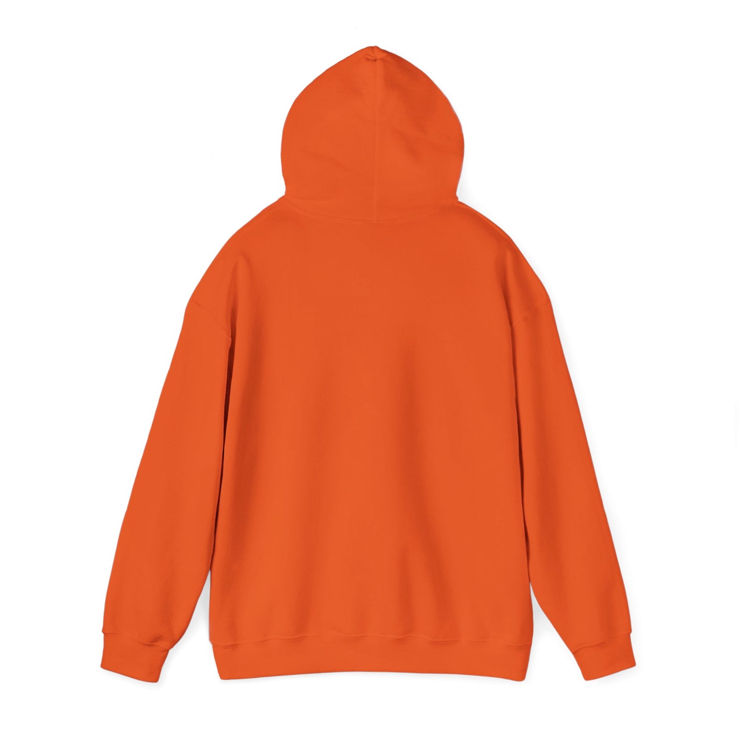 I Bleed Aqua & Orange Hoodie