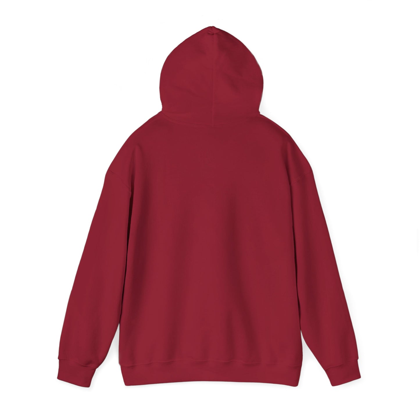 Ames IMB Hoodie