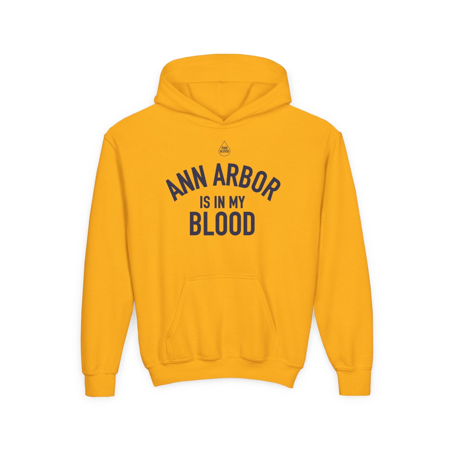Ann Arbor IMB Kid's Hoodie