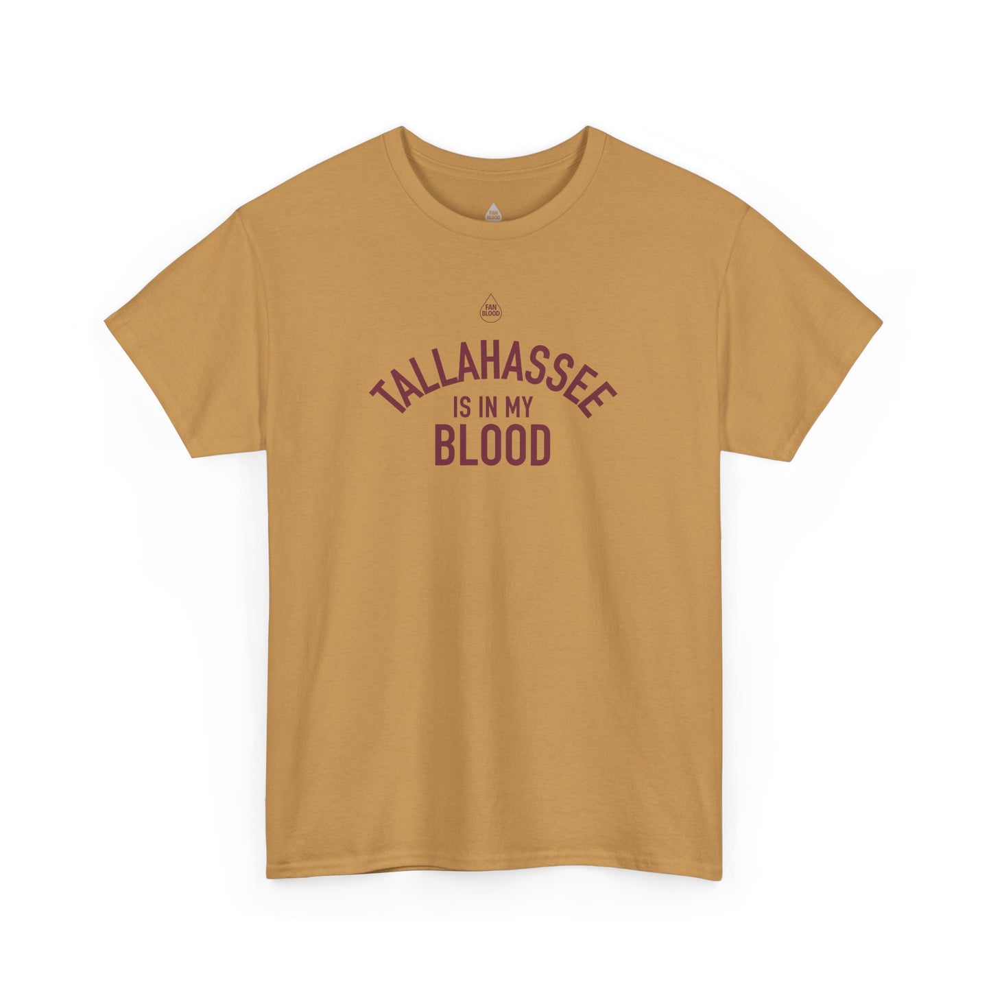 Tallahassee IMB T-Shirt