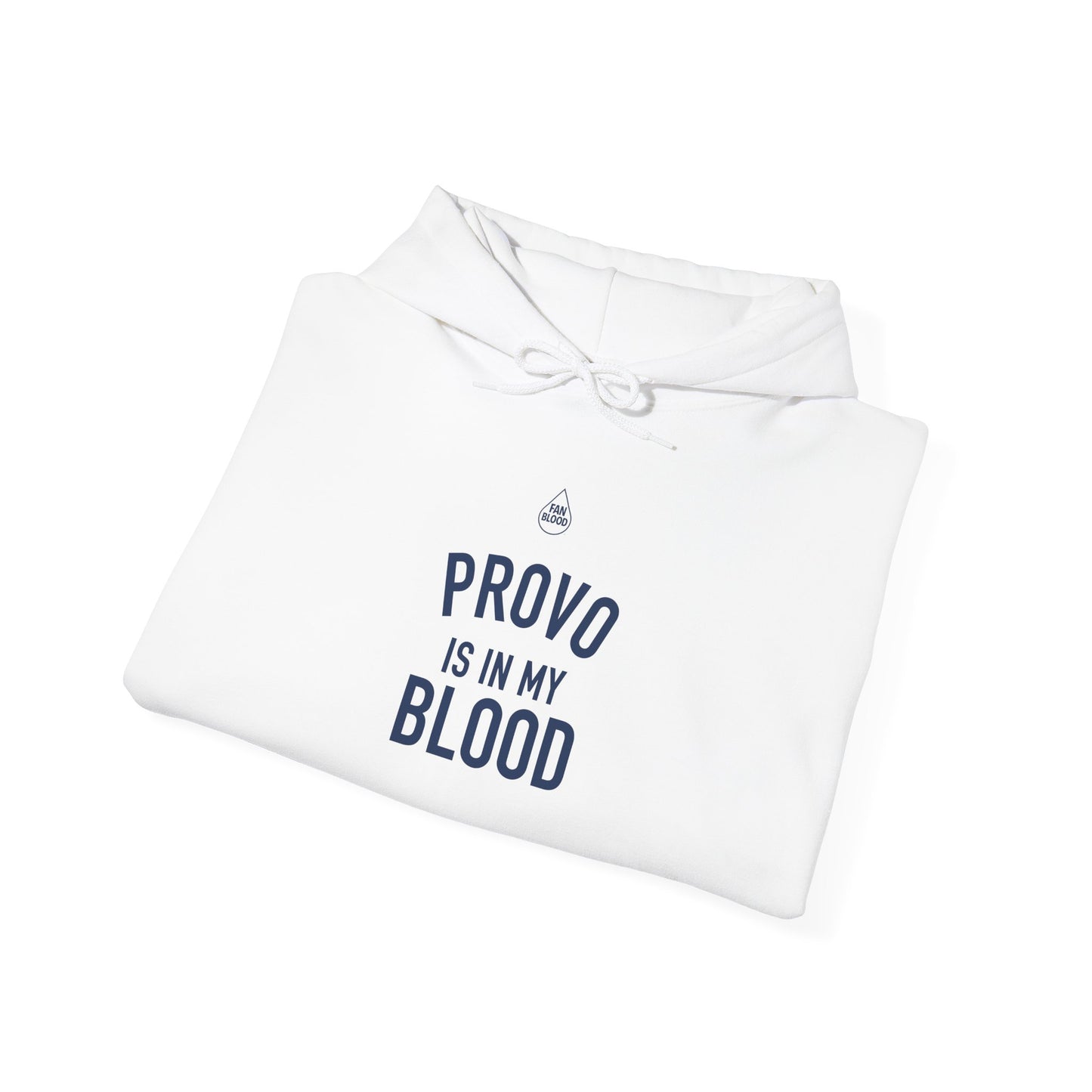 Provo IMB Hoodie