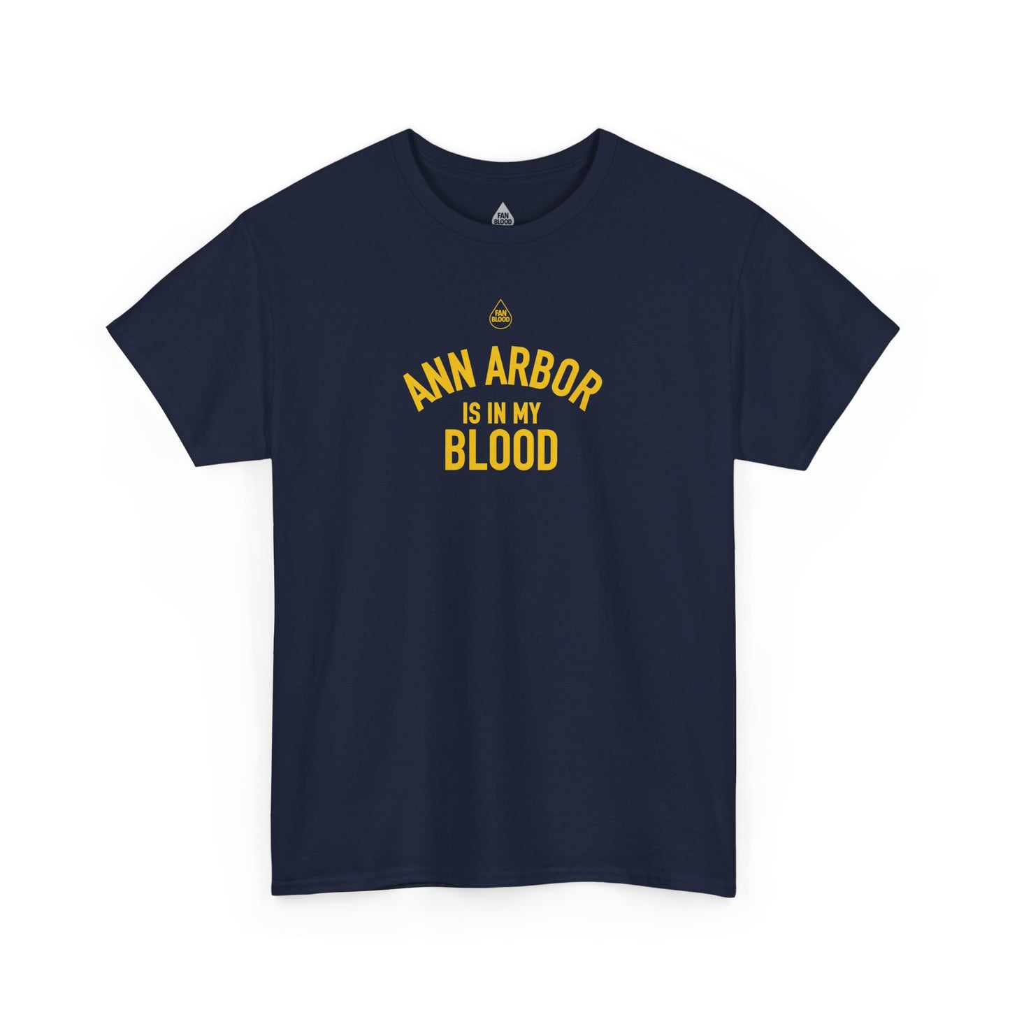 Ann Arbor IMB T-Shirt