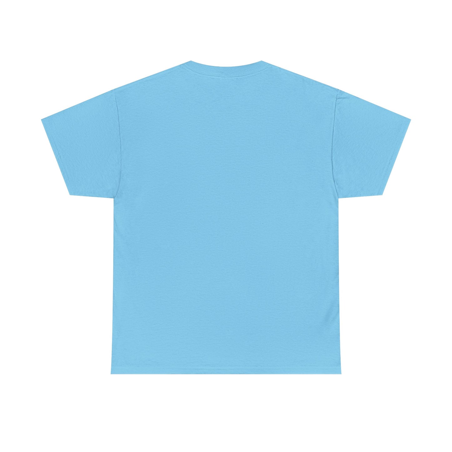 Traverse City IMB T-Shirt