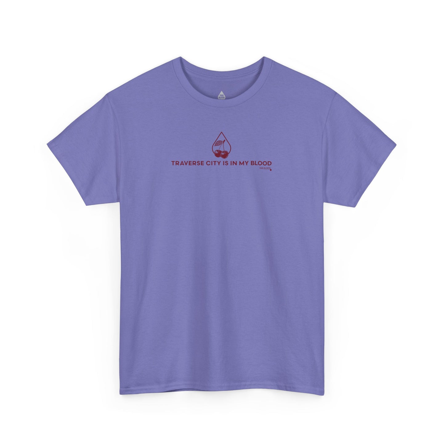 Traverse City IMB T-Shirt