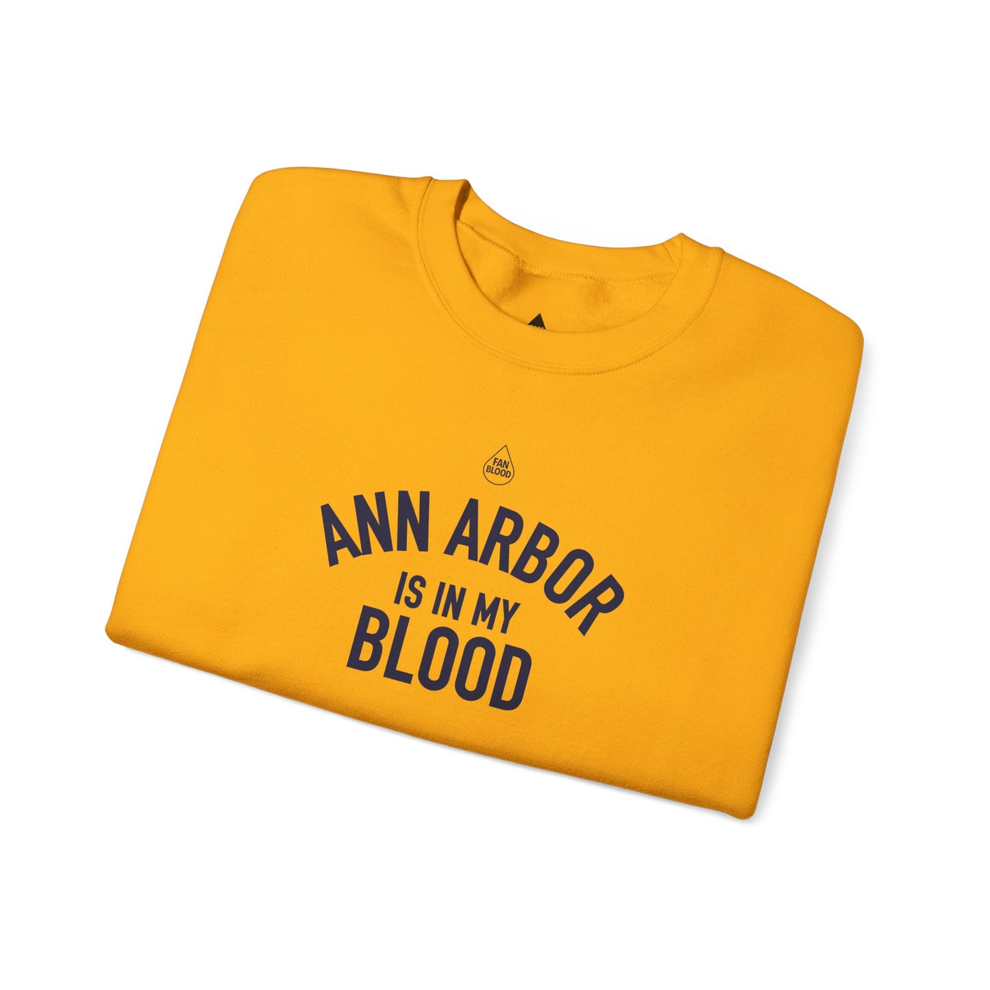 Ann Arbor IMB Sweatshirt