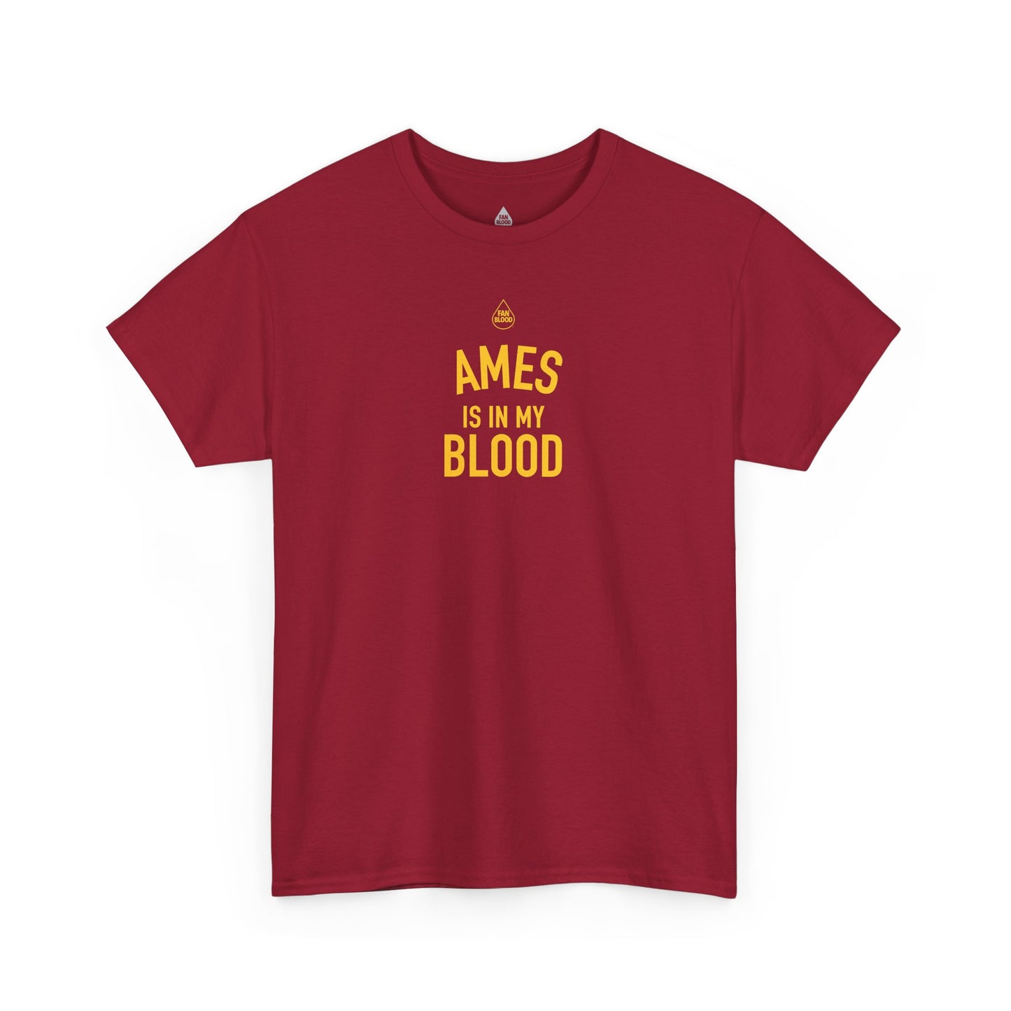 Ames IMB T-Shirt