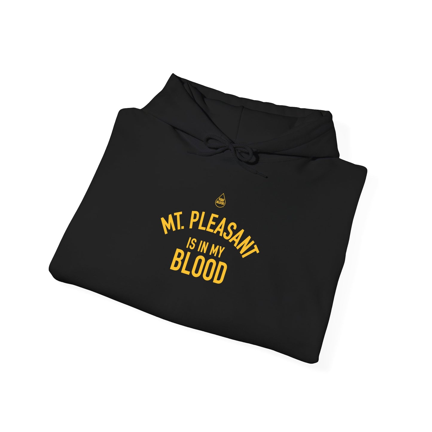 Mt. Pleasant IMB Hoodie