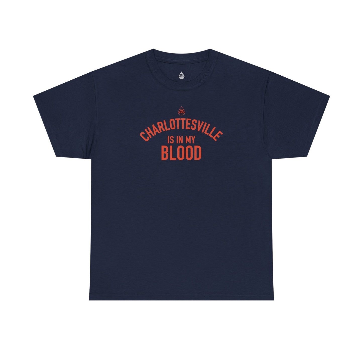 Charlottesville IMB T-Shirt