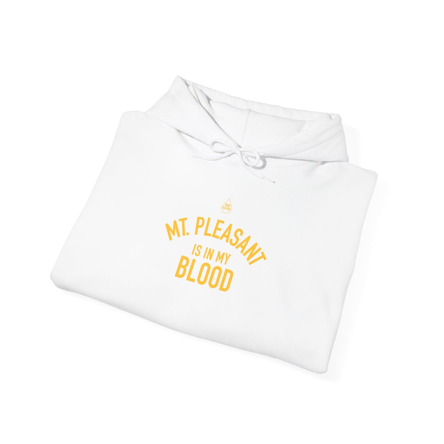 Mt. Pleasant IMB Hoodie
