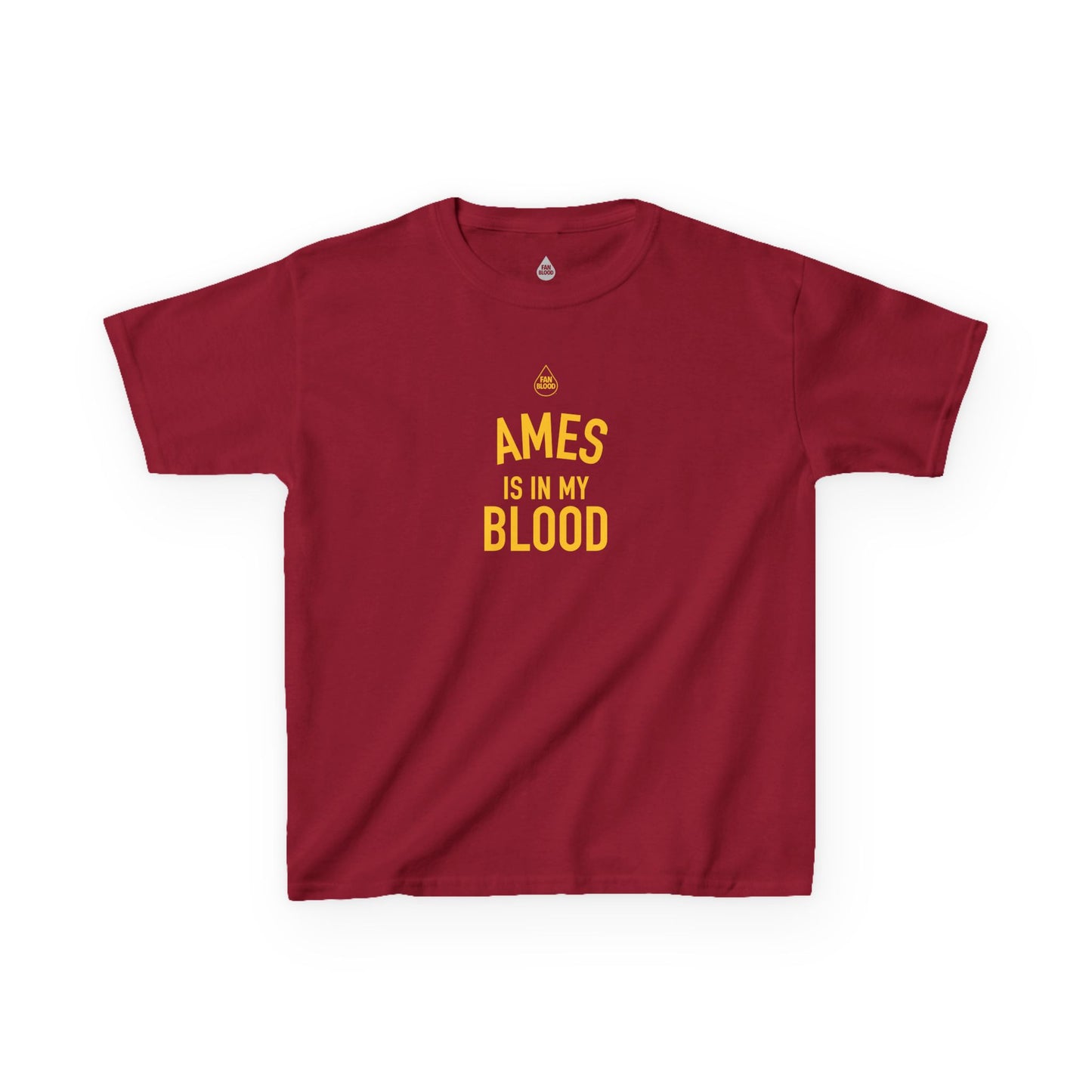 Ames IMB Kid's T