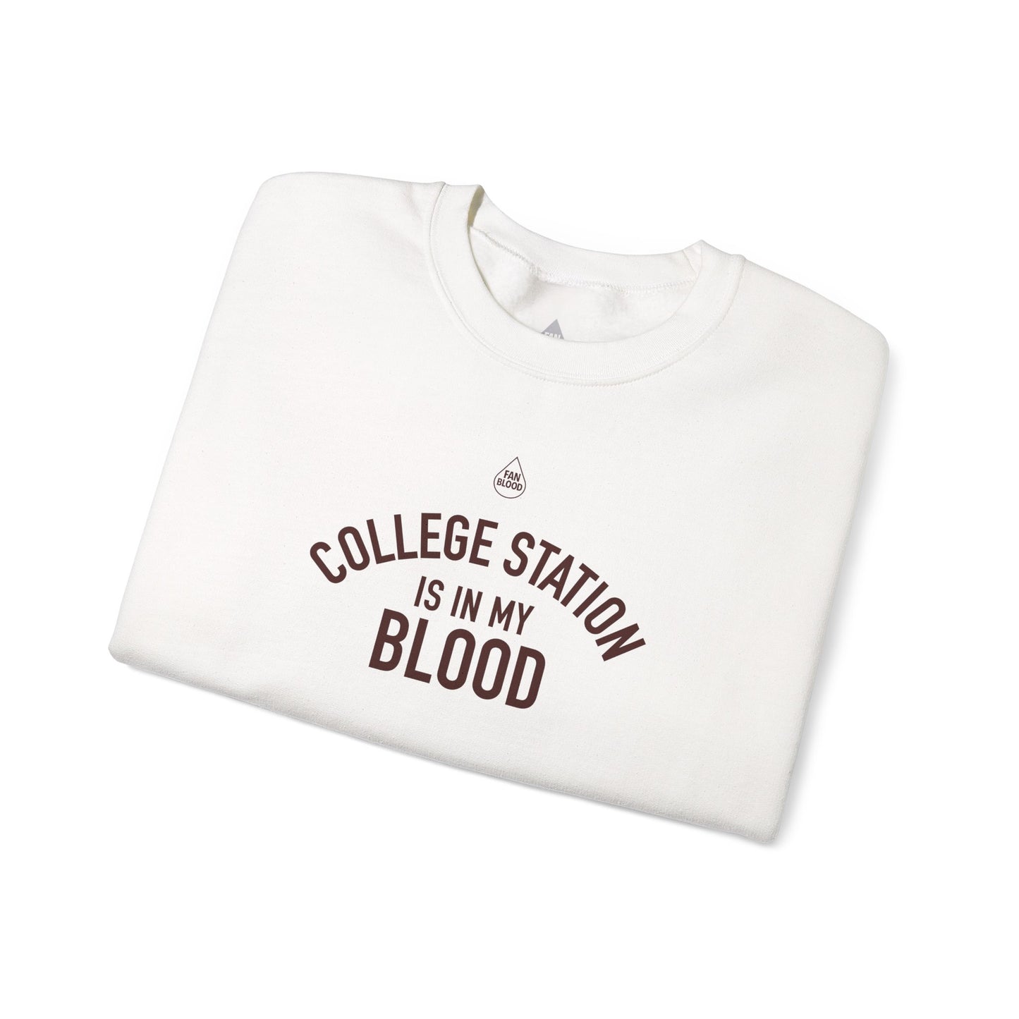 College Station IMB Sweatshirt