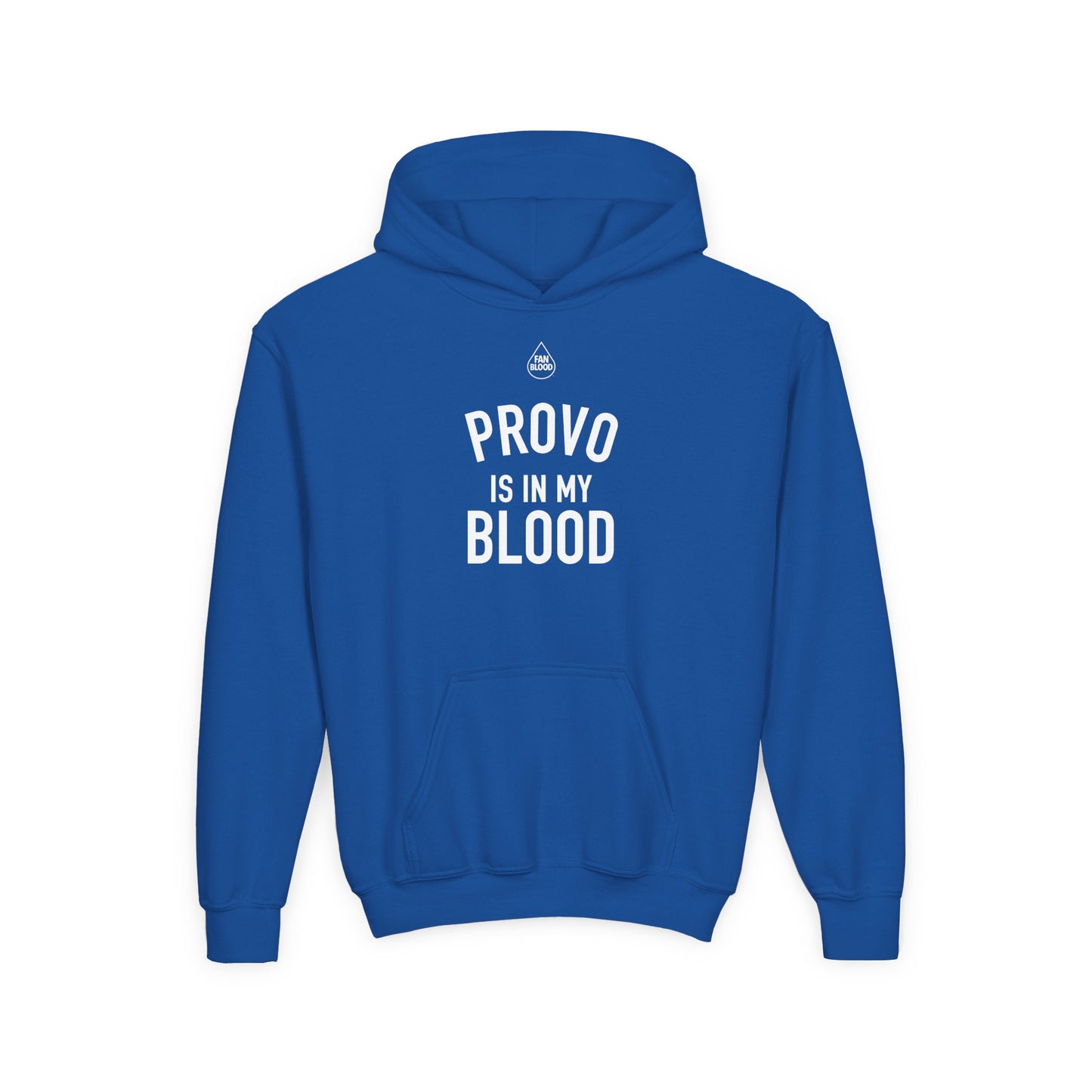 Provo IMB Kid's Hoodie