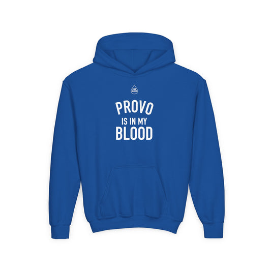 Provo IMB Kid's Hoodie