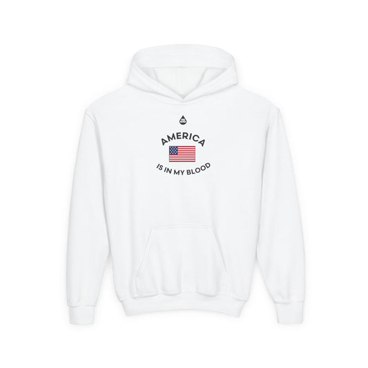 America IMB Kid's Hoodie