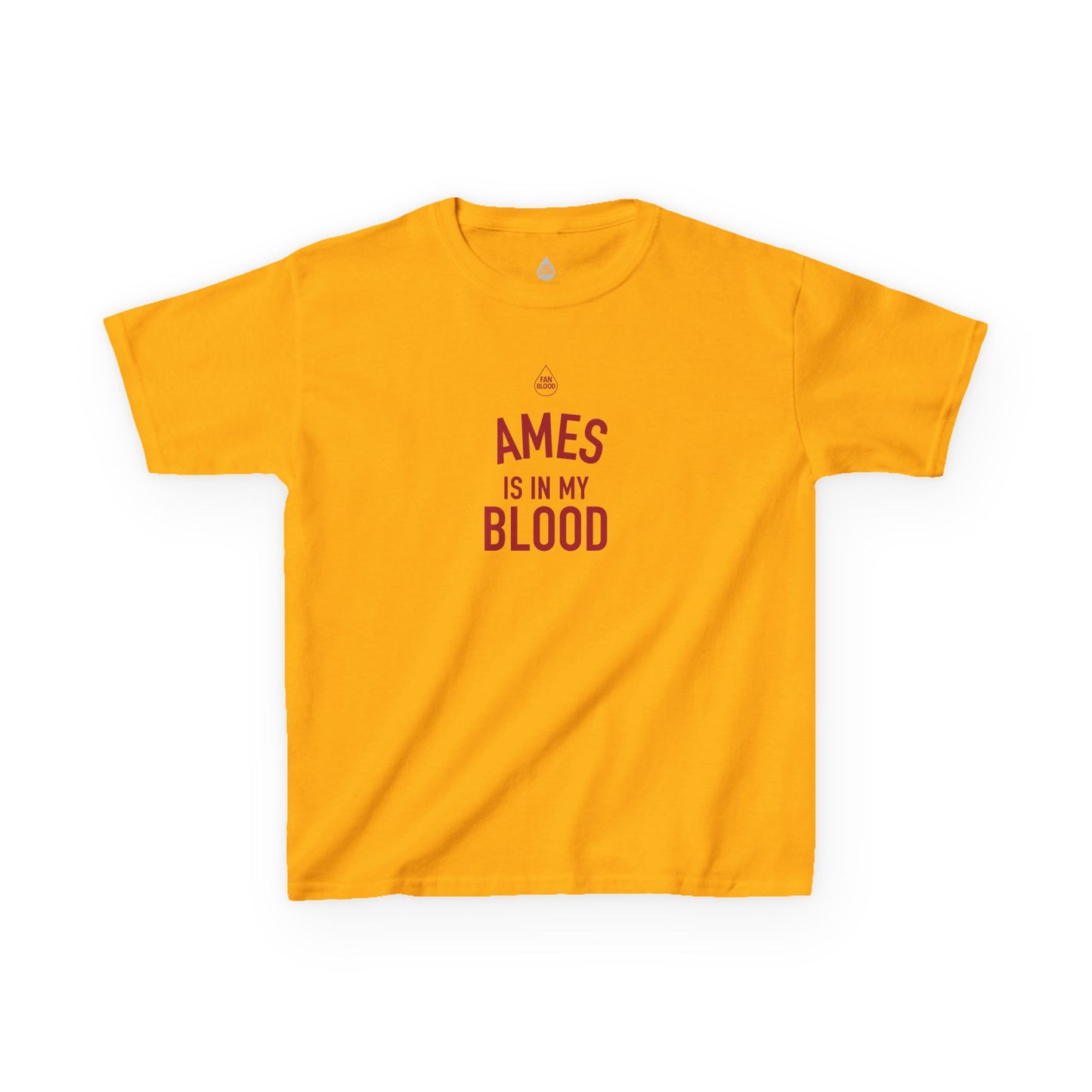 Ames IMB Kid's T