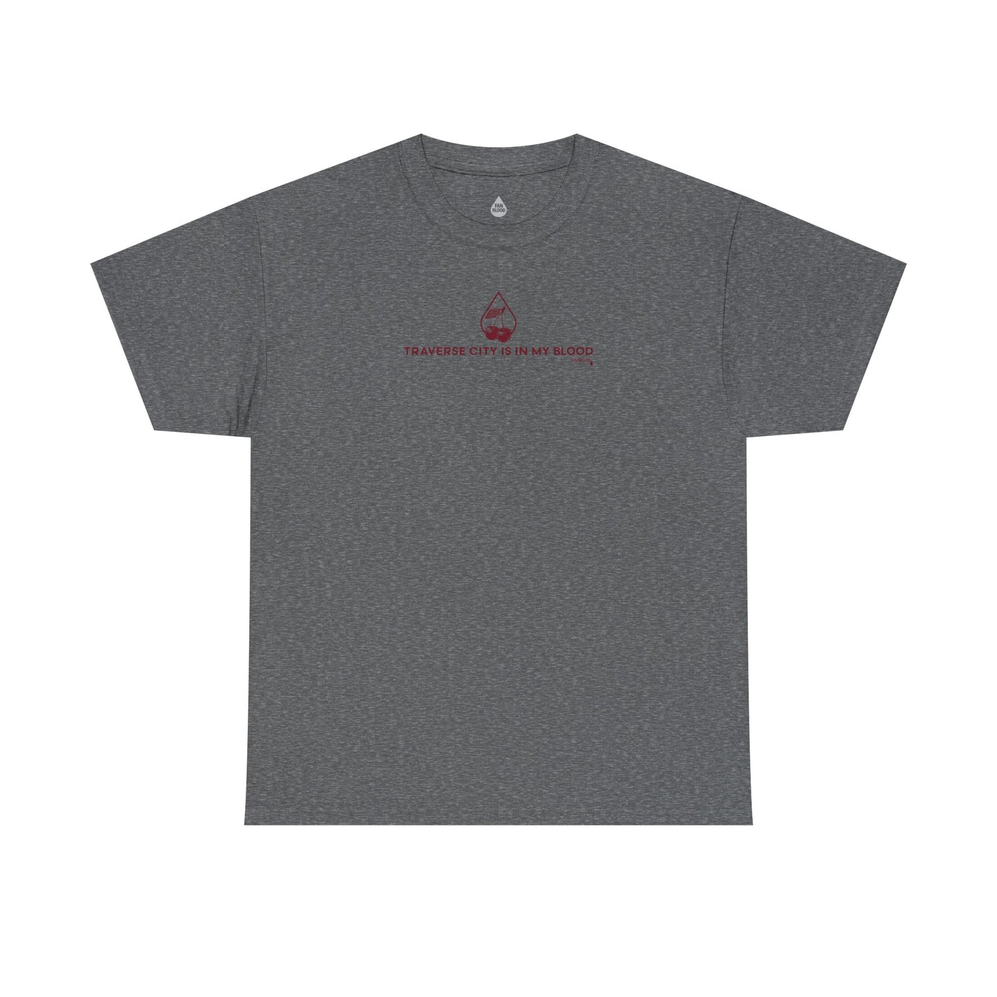 Traverse City IMB T-Shirt
